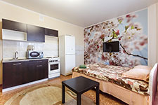 Тюмень, 50 лет ВЛКСМ, 13/2. Квартира на сутки №10 Тюмень, 50 лет ВЛКСМ, 13/2. Квартира на сутки №10